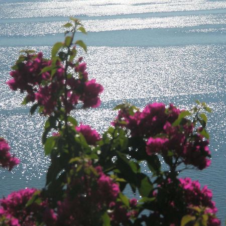 Villa Magemenou Nikiana Ngoại thất bức ảnh